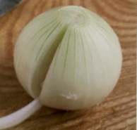 onion